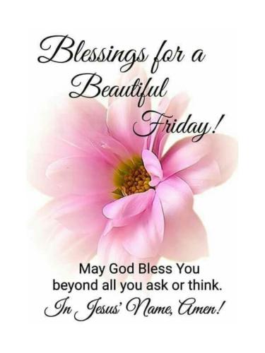 504218076_728369463030736_4558415017496856847_n