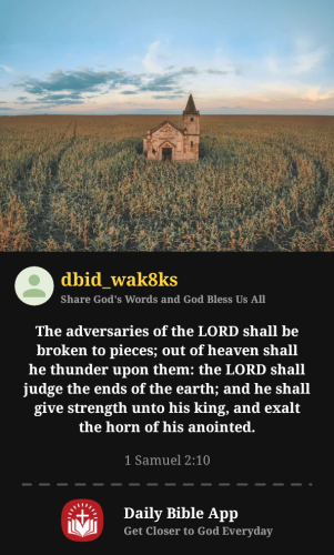 2025-06-071749352626515