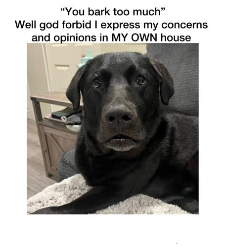 FB_IMG_1750455310287