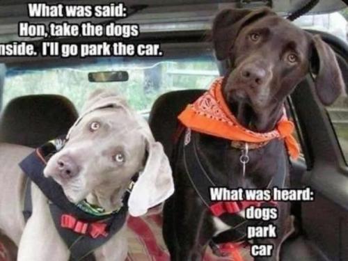 f380eb07cba062fc392ad48419a9a5fc