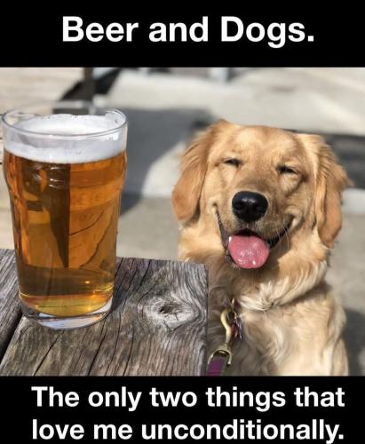 FB_IMG_1750073993845