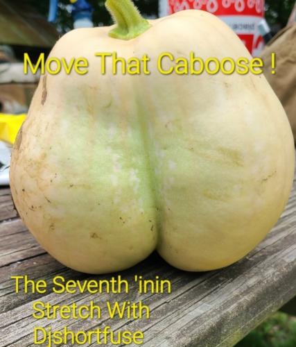 Screenshot_20250617_145249_Gallery