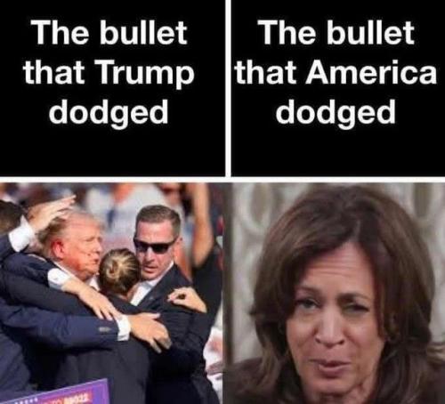 e817a74bae87b31fbcd472a711842a58