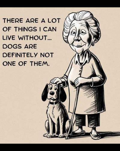 FB_IMG_1748891517420