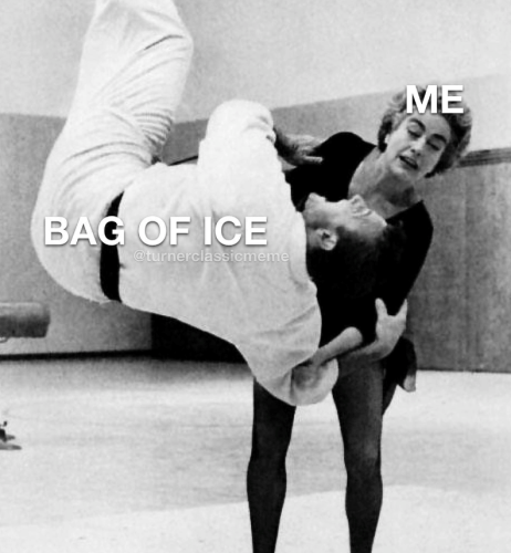 bag-ice-turnerclassicmeme