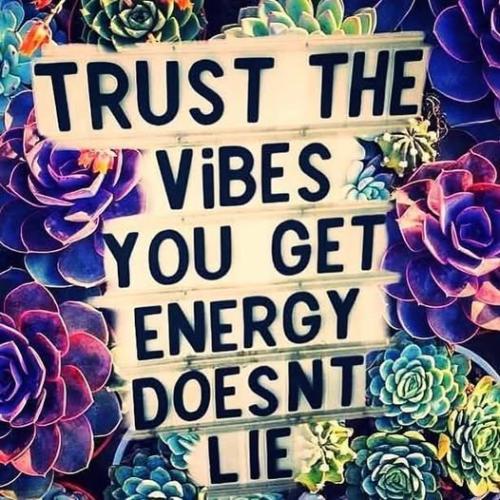 513652828_122216932478088259_8339554120581359720_n