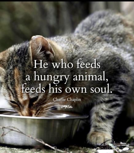 502562440_731678392701997_7370851079889706763_n