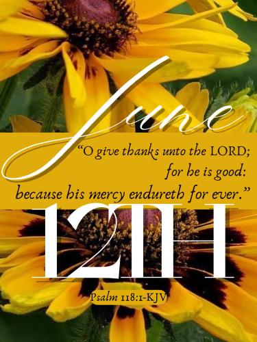 506445805_732770209257328_6534107915937451357_n