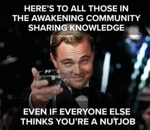 504953764_719333687649493_9181395755004261422_n