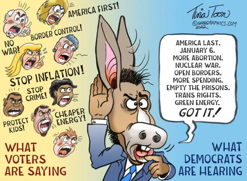 Democrats_hear_say-Tina-Toon-1-1536x1129