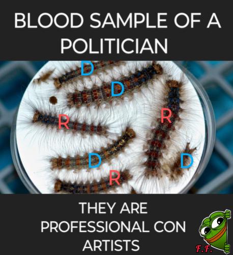 InShot_20250627_093121589~2