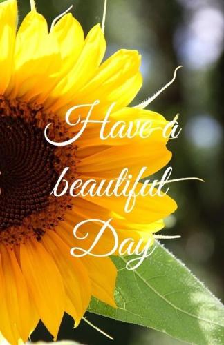 37100dae1e2acbdbc407d25c1de781ca