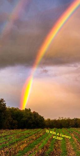 Screenshot_20250609_080807_Gallery