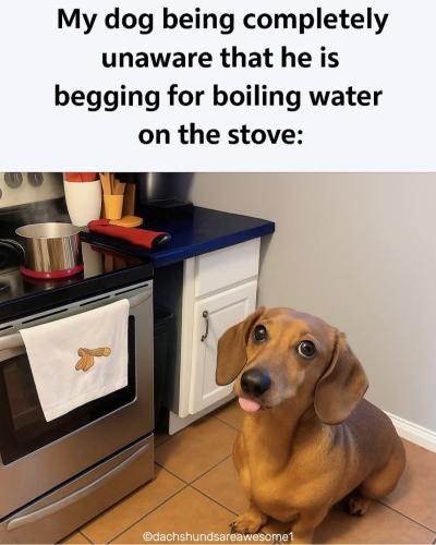 FB_IMG_1750502363178