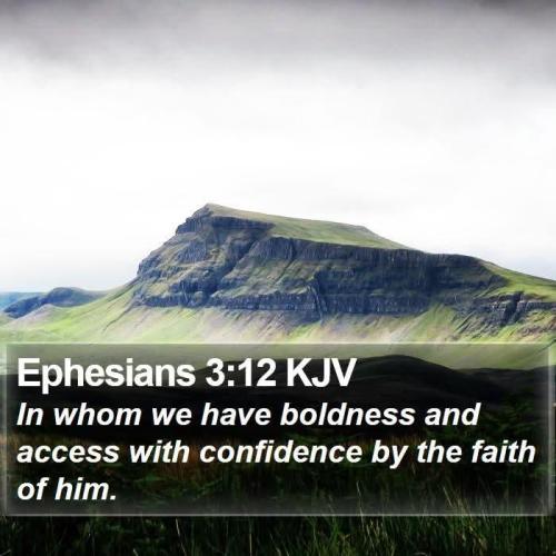 5f005a1d-b778-4203-9165-91d0b9e19f92