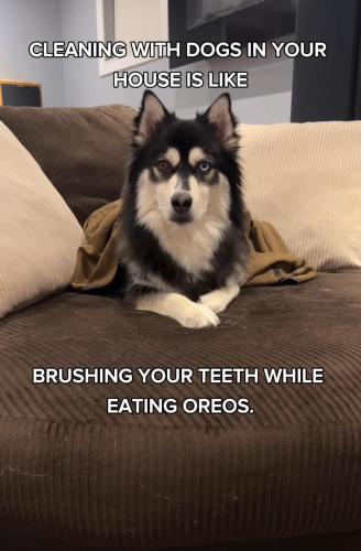 FB_IMG_1749139153397