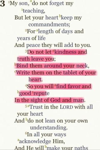 d0f5557b37aea2882eff914ecf17e876