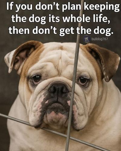 510589614_122124577328842785_7591453014145687673_n