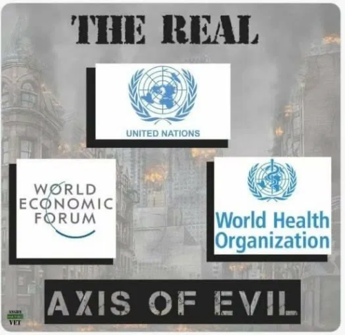 image_2025-06-26_063137362