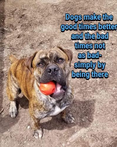 FB_IMG_1749888872090