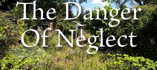 df134c5f-afb5-4e02-a0b8-a53f9cb45231