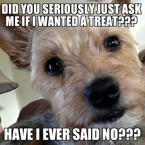 4d3808a16d000789eaffeef2022a2b54