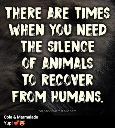 16bc4f1f6d4b07565f603394a35a3a14