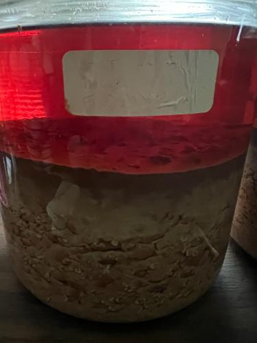 615D3E81-538E-4C85-B8FB-9835DFE6E52F