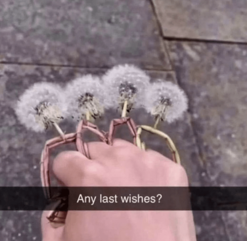 any-last-wishes