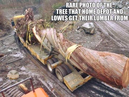 FB_IMG_1558568435923