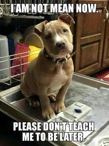 FB_IMG_1748709448640