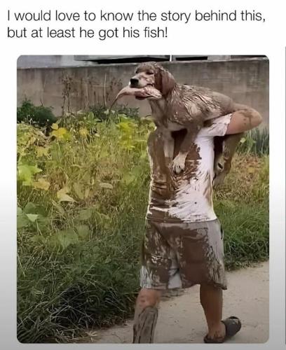 69db36dd3ab8af7d5a4fd5838157c5a1