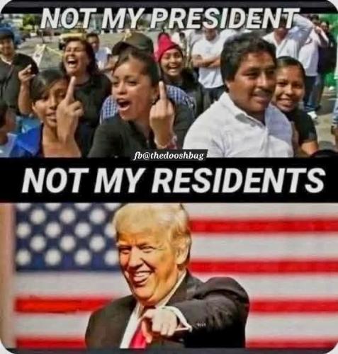 FB_IMG_1744398082382