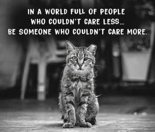 503735490_24495536650033249_8122415533363428400_n