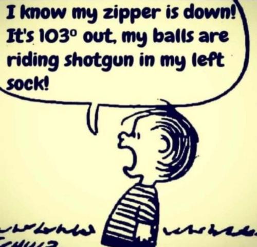 image_CFBD392D-9154-4267-AB47-F0418A628C76