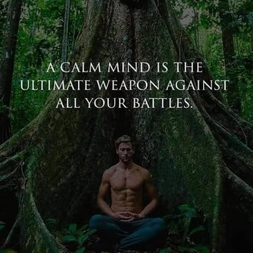 510713561_1255022772871806_5315547558193070273_n