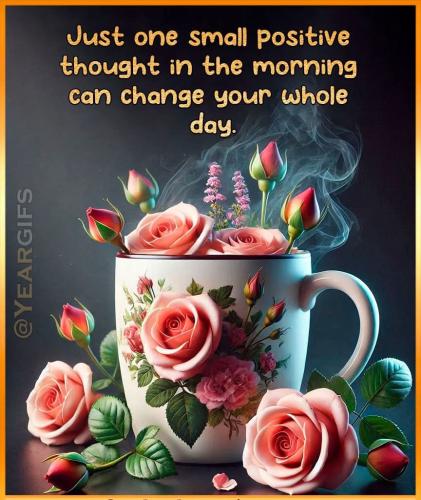 FB_IMG_1748989822743_resized