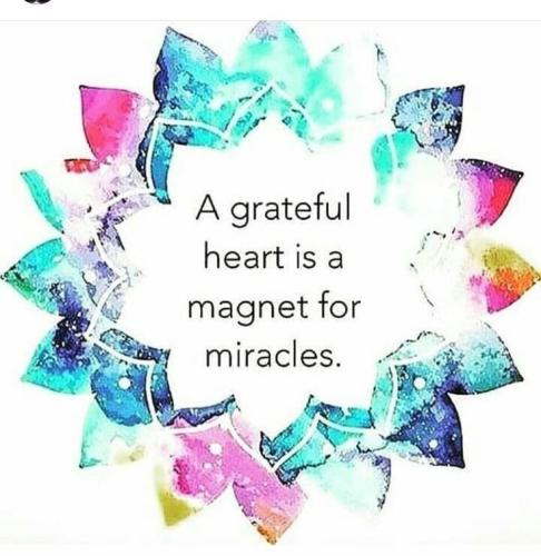 5902d9844ecb4774da8b763f1558f7c0