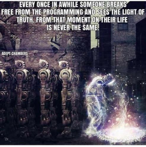 491915741_1011707534483655_159564020998495878_n