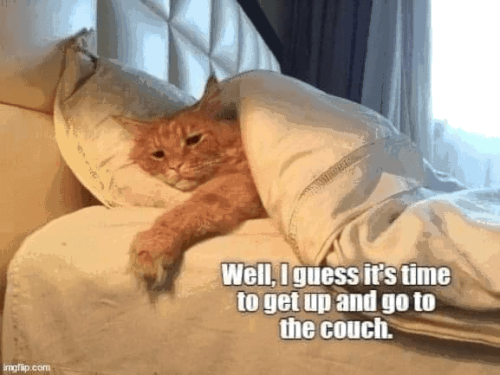 cat-imgflipcom-well-guess-s-time-get-up-and-go-couch