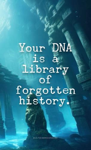 43db890e7be0411c36c9f579a5531f31