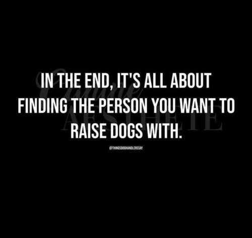 8e99861f32501fe7ce04f39763ca1fbc