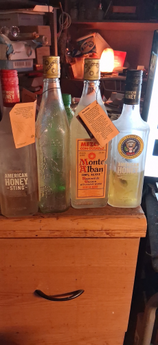 I just ate the Worm and We Bunker Busted  BOMBED IRAN