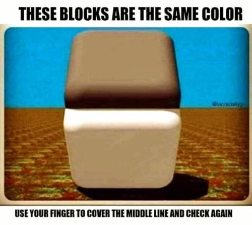 FB_IMG_1743221327251