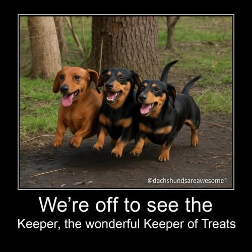 FB_IMG_1748891561103