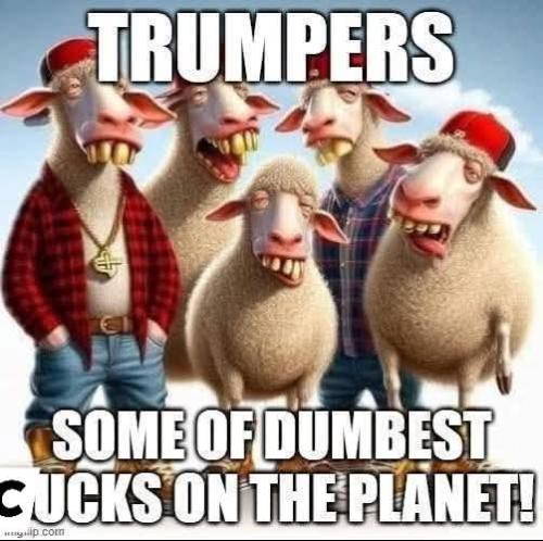 FB_IMG_1750421687243