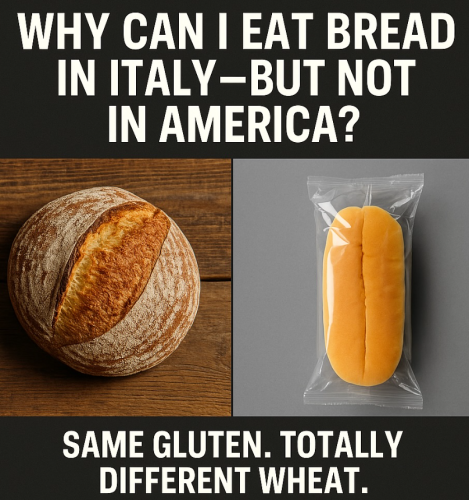 Screenshot 2025-06-30 081945