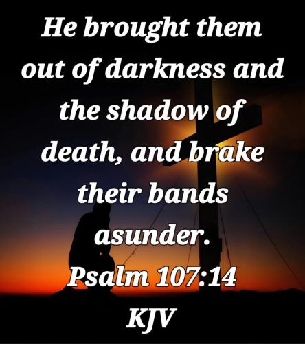 03d72278-a164-40ad-922d-8f5bd18ddd83