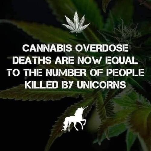 487781290_4875926302633136_4901925314085772549_n