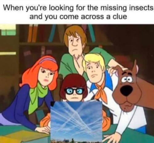 photo_2025-06-13_21-25-18